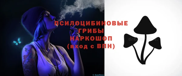 тгк Анива