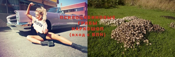 PSILOCYBIN Надым