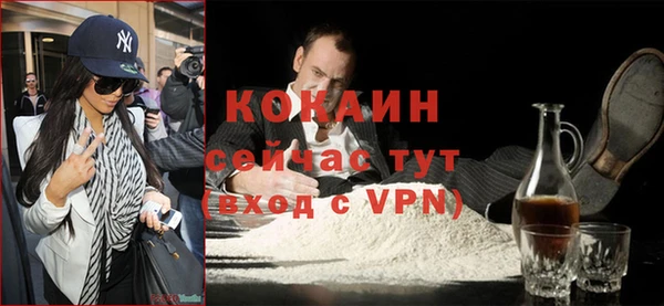 твердый Михайловск