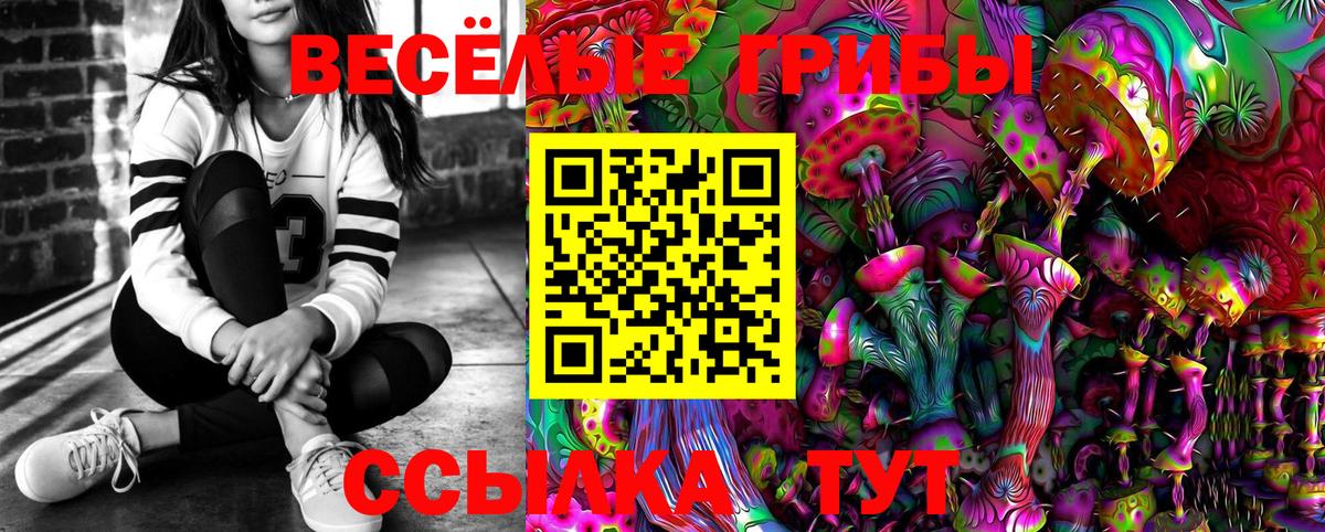 Псилоцибиновые грибы мухоморы Владикавказ