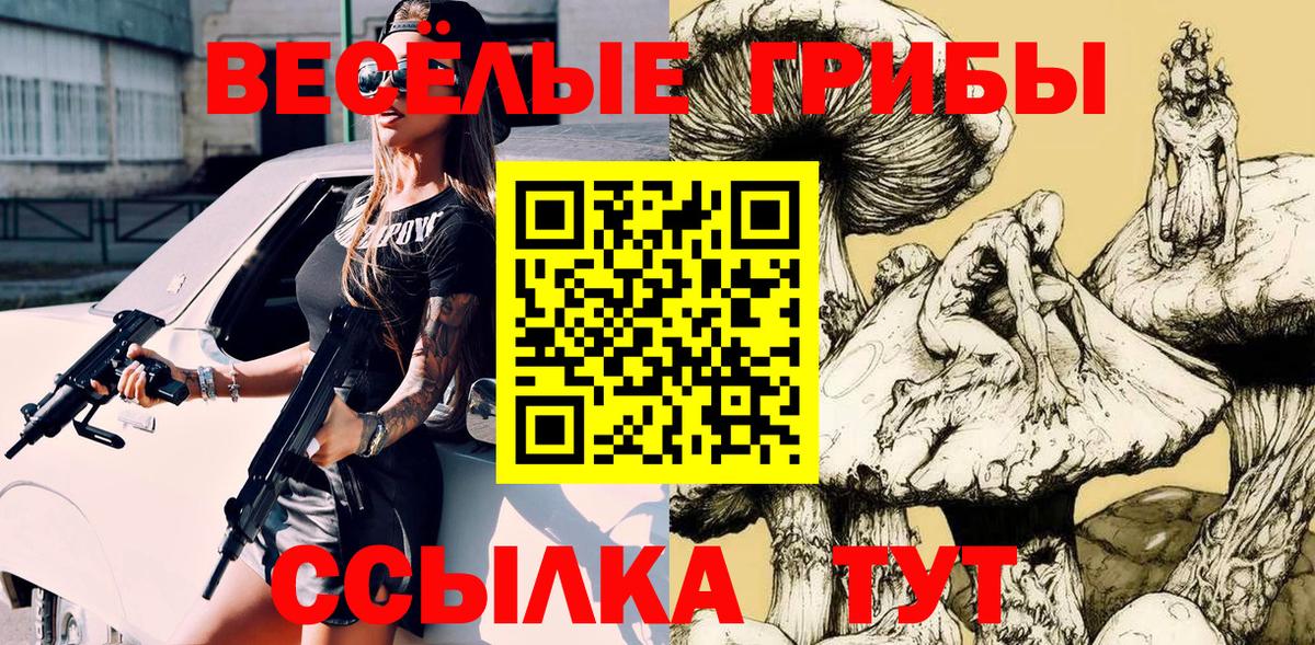 Владикавказ  Псилоцибиновые грибы Cubensis  Вход с VPN 