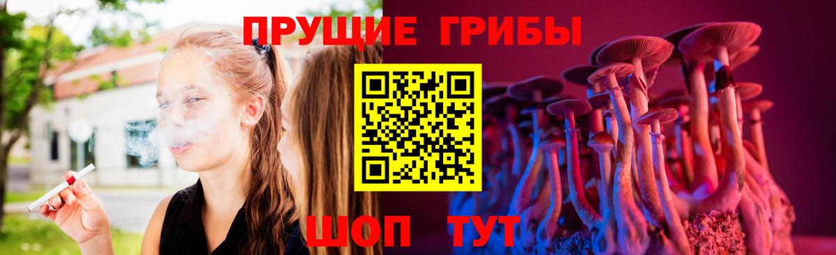 Псилоцибиновые грибы прущие грибы  Владикавказ 